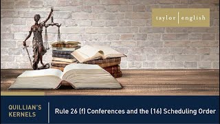 Litigation Fundamentals  Rule 26 f Conferences and the 16 Scheduling Order [upl. by Laney]