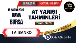 15 Kasım 2024 Cuma Bursa At Yarışı Tahminleri [upl. by Kcirdlek269]