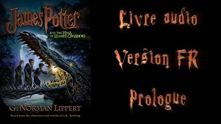 Livre audio vivant 🎧James Potter 1 FR 🎧 Prologue [upl. by Majka391]