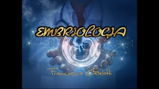 Embriologia Lezione 4 Embriogenesi [upl. by Onabru77]