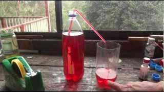 How to make a Straw Syphon  Simple Science Experiment  Uses Everyday Items [upl. by Kernan]