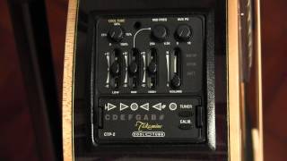 The Takamine CTP2 quotCool Tubequot Acoustic Guitar Preamp  review and user guide [upl. by Anatsirhc]