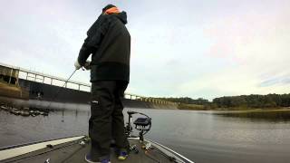 Ouachita River Darbonne Bayou Bass Fishing in Cypress Trees  Monroe LA [upl. by Lobell]