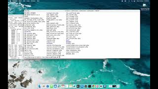 Metasploitable2 on MacOS Port 1099 with Java RMI Exploit  A Deep Dive into Metasploit [upl. by Yanehc963]