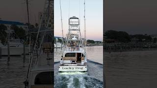 “Lucky Dog” Bayliss 57’ with some laundry flying sportfish yacht customboats [upl. by Anitsyrhc448]