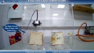 Plasma Air Prevents Mold and Improves Indoor Air Quality with Bipolar Ionization [upl. by Moir]