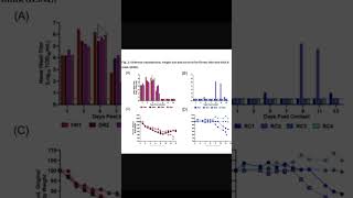 H5N1 Mutation [upl. by Adihahs]