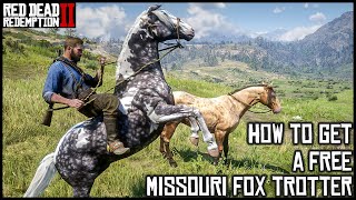 MISSOURI FOX TROTTER  Red Dead Redemption 2 Story Mode [upl. by Walt]