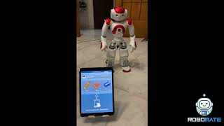 roboMate NAO demo Robot Assisted therapy for educators and therapists [upl. by Aryan]