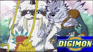 Garurumon digievoluciona a Weregarurumon  DIGIMON CAPITULO 23 COMPLETO digimon digimonlatino [upl. by Suzi]