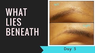 Microblading Day 5What Lies Beneath Pigment Fading [upl. by Astrid]