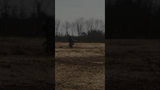 YZ125 2Stroke Wheelies yamaha yz125 2stroke wheelie blowthisup ineedviews [upl. by Batholomew]