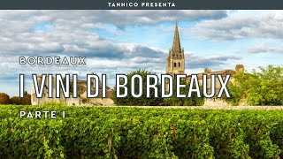 Vini terroir e storia di Bordeaux  Parte I  Tannico Flying School [upl. by Enicar76]