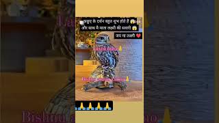 Jai maa Laxmi🙏🙏 love viralvideo youtubeshorts [upl. by Koerner716]