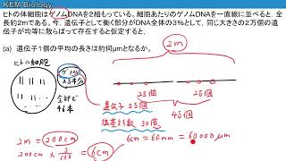 高校生物「遺伝子に関する計算問題（やや難）」 [upl. by Lenard]