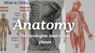 Anatomical Terminologies Anatomical planes terminologíamédica [upl. by Rattray]