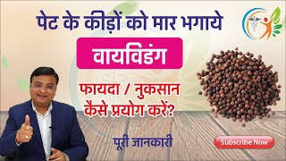 वायविडंग के फायदे और नुकसान  Vaividang  Embelia ribes in hindi  Dr Prateek Agrawal 80 [upl. by Hudis]