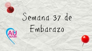 Semana 37 de Embarazo Contracciones y casi al final de mi embarazo [upl. by Furiya]