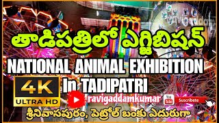 NATIONAL ANIMAL EXHIBITION IN TADIPATRI 2024 తాడిపత్రిలో నేషనల్ అనిమల్ ఎగ్జిబిషన్ EXHIBITION 2024 [upl. by Siriso876]