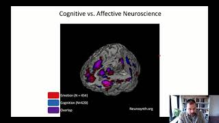 NeuroEconL1AffectiveNeuroscience [upl. by Alyled633]