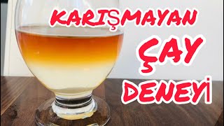 KARIŞMAYAN ÇAY DENEYİ deney [upl. by Smail]