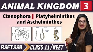 Animal Kingdom 03  Ctenophora II Platyhelminthes and Aschelminthes  Class 11NEET  RAFTAAR [upl. by Edecrem]