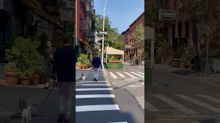 📌West Village NYC🍎 westvillagenycnewyorkcitygreenwichvillagemanhattannycvlognycvlog [upl. by Urial]