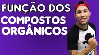 Função do Carboidrato Lipídio Proteína e da Vitamina │Aula 4  Biologia com Patrick Gomes [upl. by Sosna]