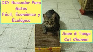 CÓMO HACER UN RASCADOR PARA GATOS CON CARTÓN  DIY [upl. by Eillam]