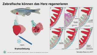 Arica Beisaw  Wie man ein gebrochenes Herz repariert  3624 [upl. by Maryann]