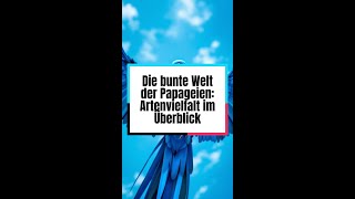 Die bunte Welt der Papageien Artenvielfalt im Überblick [upl. by Ahsineb388]