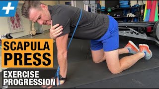 Scapula Press Exercise Progression for Serratus Anterior and Winging  Tim Keeley  Physio REHAB [upl. by Novonod]