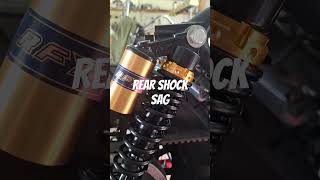 Is Cafe Racer Sportster Rear Shock Sag Ruining Your Ride [upl. by Irolam]