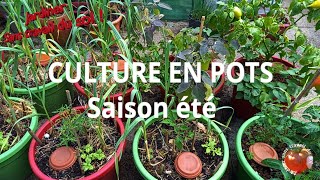 CULTURE EN POTS Saison été [upl. by Dyal]