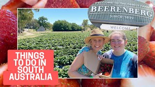 MUST DO SCHOOL HOLIDAY ACTIVITY Strawberry Picking  Beerenberg Farm  Adelaide  South Australia [upl. by Kristy]