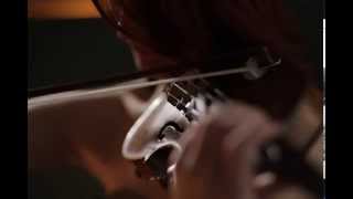 Des Armes  Noir Desir Violin Cover [upl. by Ainnet362]