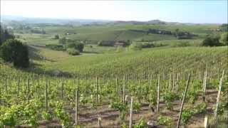 Barbaresco Cuneo Langhe Piedmont Italy Europe [upl. by Iztim]