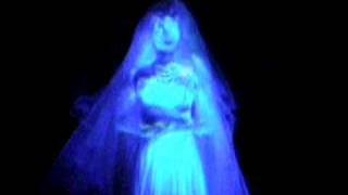 Haunted Mansion The Bride [upl. by Aniham496]