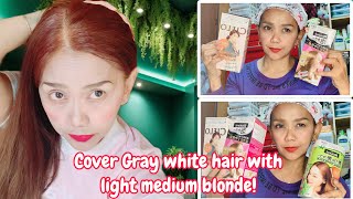 BLAUNE  COVER GRAY WHITE HAIR WITH LIGHT MEDIUM BLONDE VLOGGA [upl. by Anitnelav]