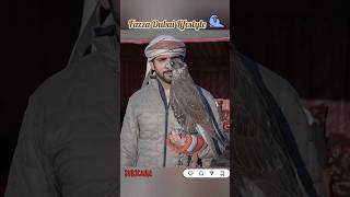 Fazza Dubai Lifestyle dubai princefazza shortfeed viralshort shortsviral short viralshorts [upl. by Sirah]