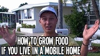 How to Grow an Organic Vegetable Garden at a Mobile Home [upl. by Ahseinar256]