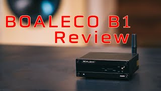 Boaleco B1 Bluetooth Receiver Review [upl. by Rolyak]