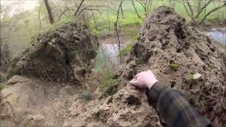 Exploring Saltpetre Cave in Barren County KY [upl. by Yro456]