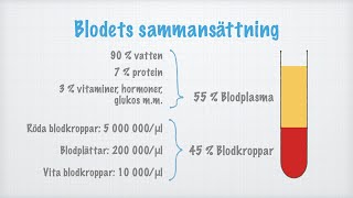 Blodets sammansättning [upl. by Eustache]