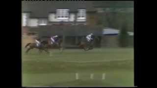 1981 Freshfields Holidays Handicap Chase [upl. by Eudocia]