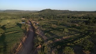 Cerrado the Brazilian savanna Djiryze tello footage [upl. by Ylrehc]