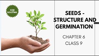 SEEDS  STRUCTURE AND GERMINATION CHAPTER 6 CLASS 9 ICSE [upl. by Rellim279]