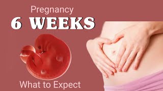 6 week pregnancy baby growthwhat to expect during week 6 of pregnancy6th week of pregnancy [upl. by Grange]