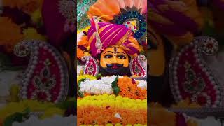 jaishreeshyam shyambhajan shaym live shyamsarkar birajbaroliya khatushyam videoshort [upl. by Sinnod]