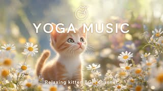 Live 🧘‍♀️ Calm Yoga Music 🐱🌼 to Focus amp Relax  Meditation with Cute Kitten 🐾  149 [upl. by Frierson]